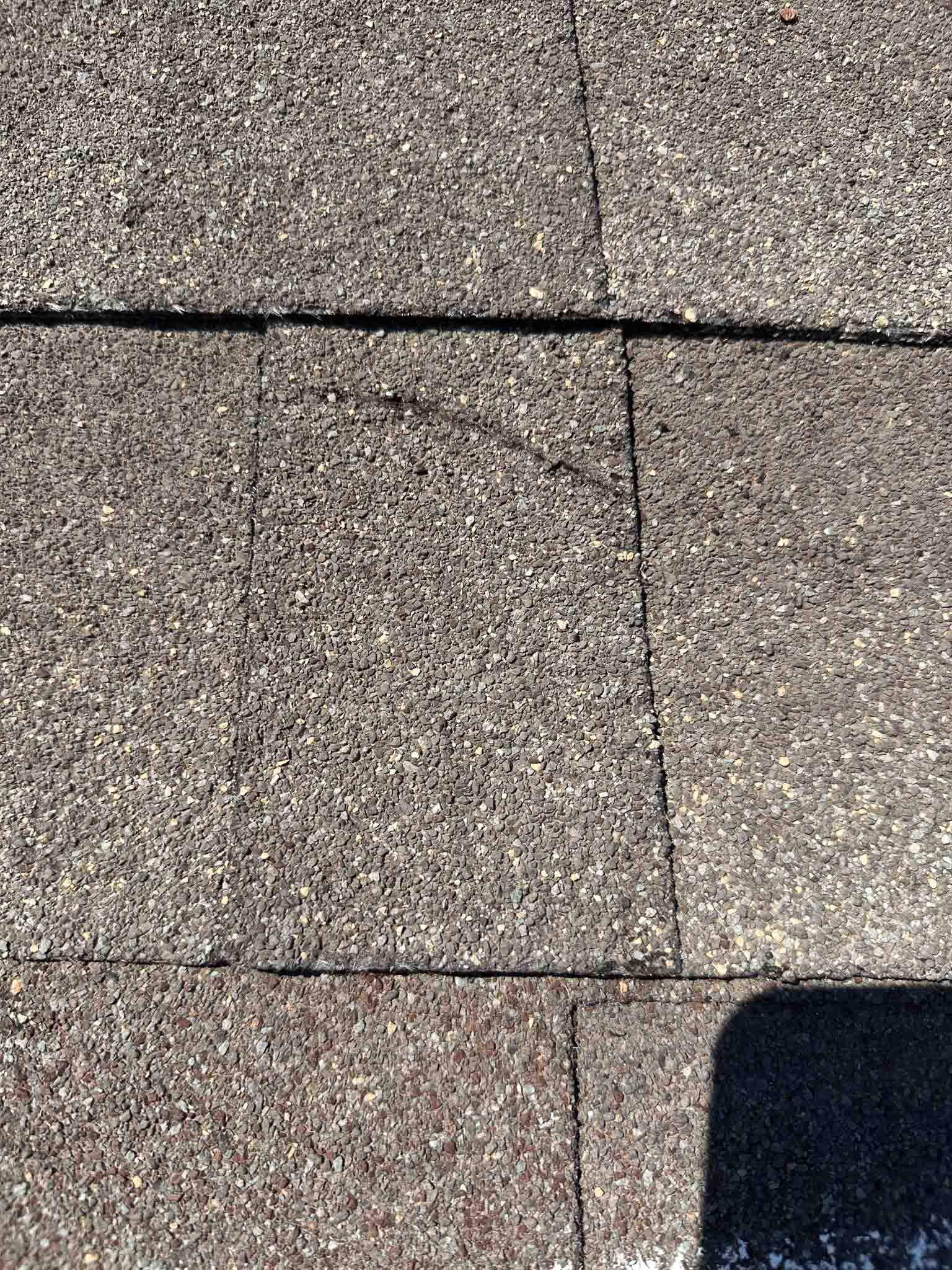 Close-up roof inspection